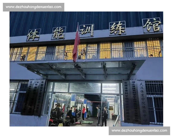 构建面向未来的青少年体育培训与体能素质提升创新体系综合服务平台