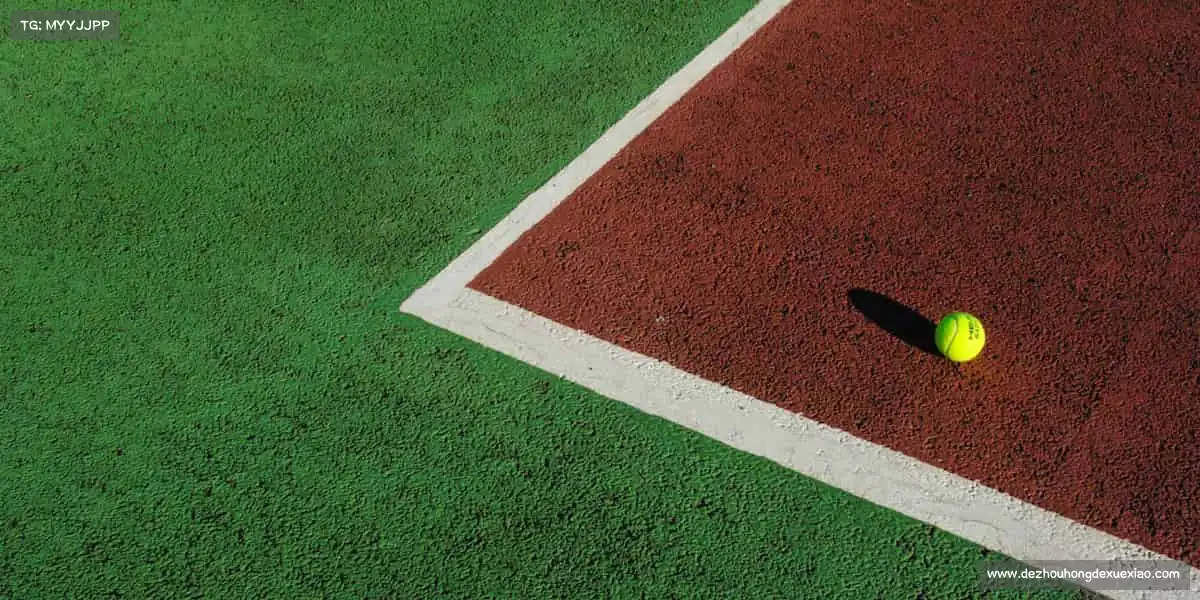 <strong>世界杯官网入口</strong>汗水浇灌热爱，拼搏铸就精彩！💦🔥